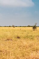 Rajwada Desert Camp by Park Tree