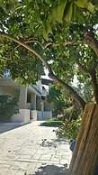 Villa Miranda
