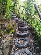 Termas El Pantanal