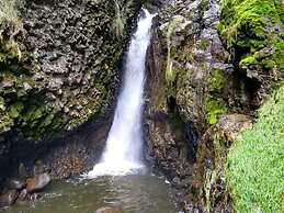 Termas El Pantanal