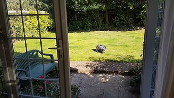 The Summer Room