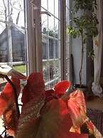 The Summer Room