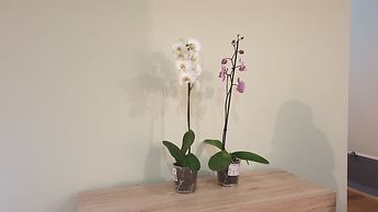 Exquisit Seapoint Apartment