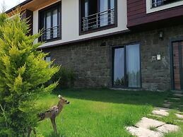 Royal Villa