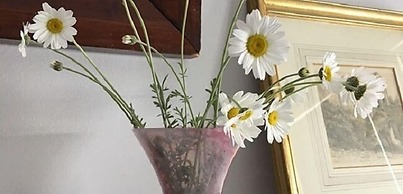 Anne's House