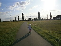 Alles Paletti