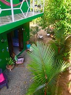 Guest House Pura Vida