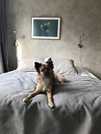 Noli Sörnäinen