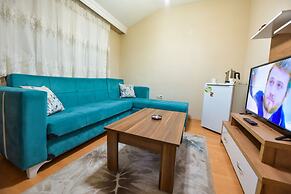 My Guse Suite