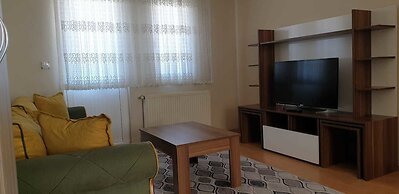 My Guse Suite