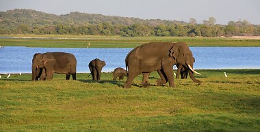 Sigiriya Kingdom Resort