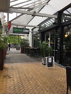 Tuatara Lodge - Hostel
