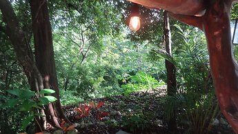 Nosara Sunrise B&B