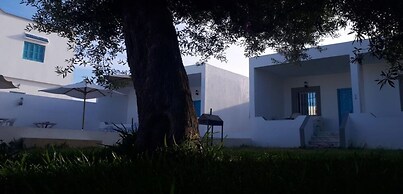 Dar Aesha