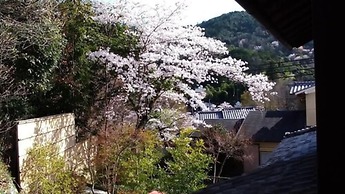 Kinkaku Ryokan