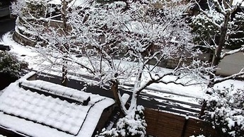 Kinkaku Ryokan