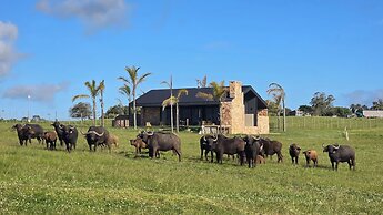 Buff & Fellow Eco Cabins