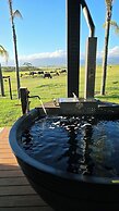 Buff & Fellow Eco Cabins