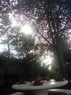 Nature Houses