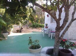 Nature Houses