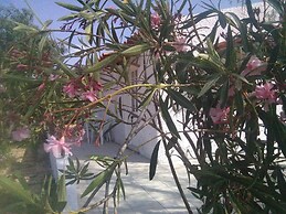 Nature Houses