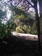 Nature Houses