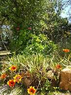 Nature Houses