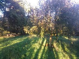 Nature Houses