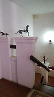 El Castillito