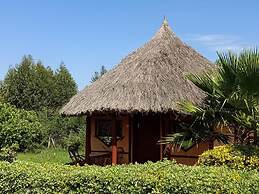 The Great Circle Lodge