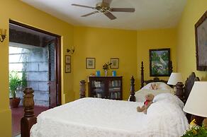 Bluefields Bay Villas