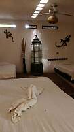 Casa Tonantzin 2