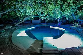 Bonobo Lodge