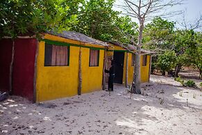 Bonobo Lodge