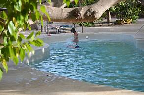 Bonobo Lodge