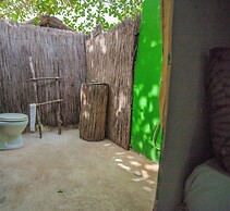 Bonobo Lodge