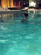 Bonobo Lodge