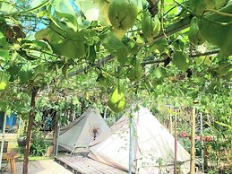 Hue Lotus Homestay