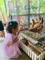 Hue Lotus Homestay
