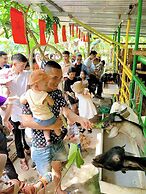 Hue Lotus Homestay