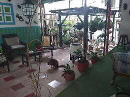 Hostel Camelot