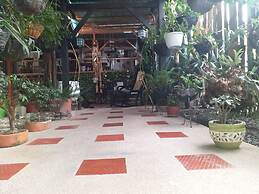 Hostel Camelot