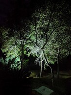 Paraíso Tropical