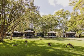 Habitat Noosa Everglades Eco Camp