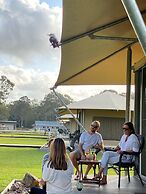 Habitat Noosa Everglades Eco Camp
