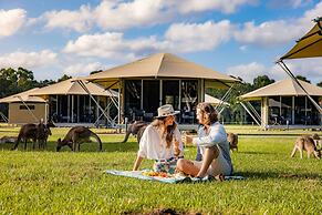 Habitat Noosa Everglades Eco Camp