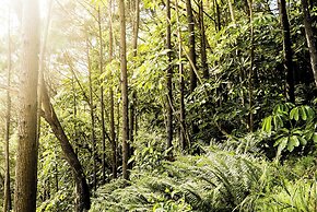 Habitat Noosa Everglades Eco Camp