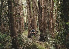 Habitat Noosa Everglades Eco Camp