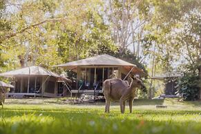 Habitat Noosa Everglades Eco Camp