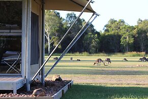 Habitat Noosa Everglades Eco Camp